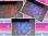 images/v/201111/13226451284_led light.jpg